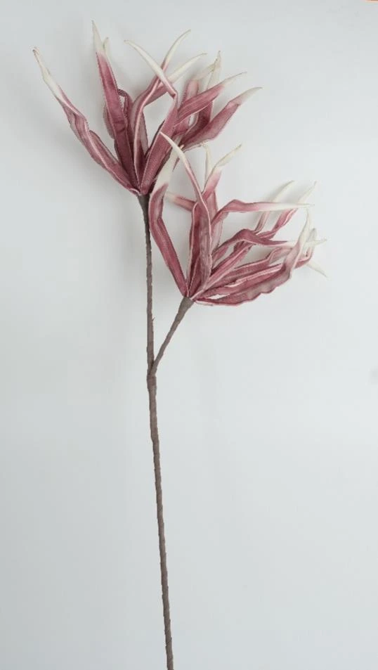 Song of India X 2Flr Foam Flower Stick